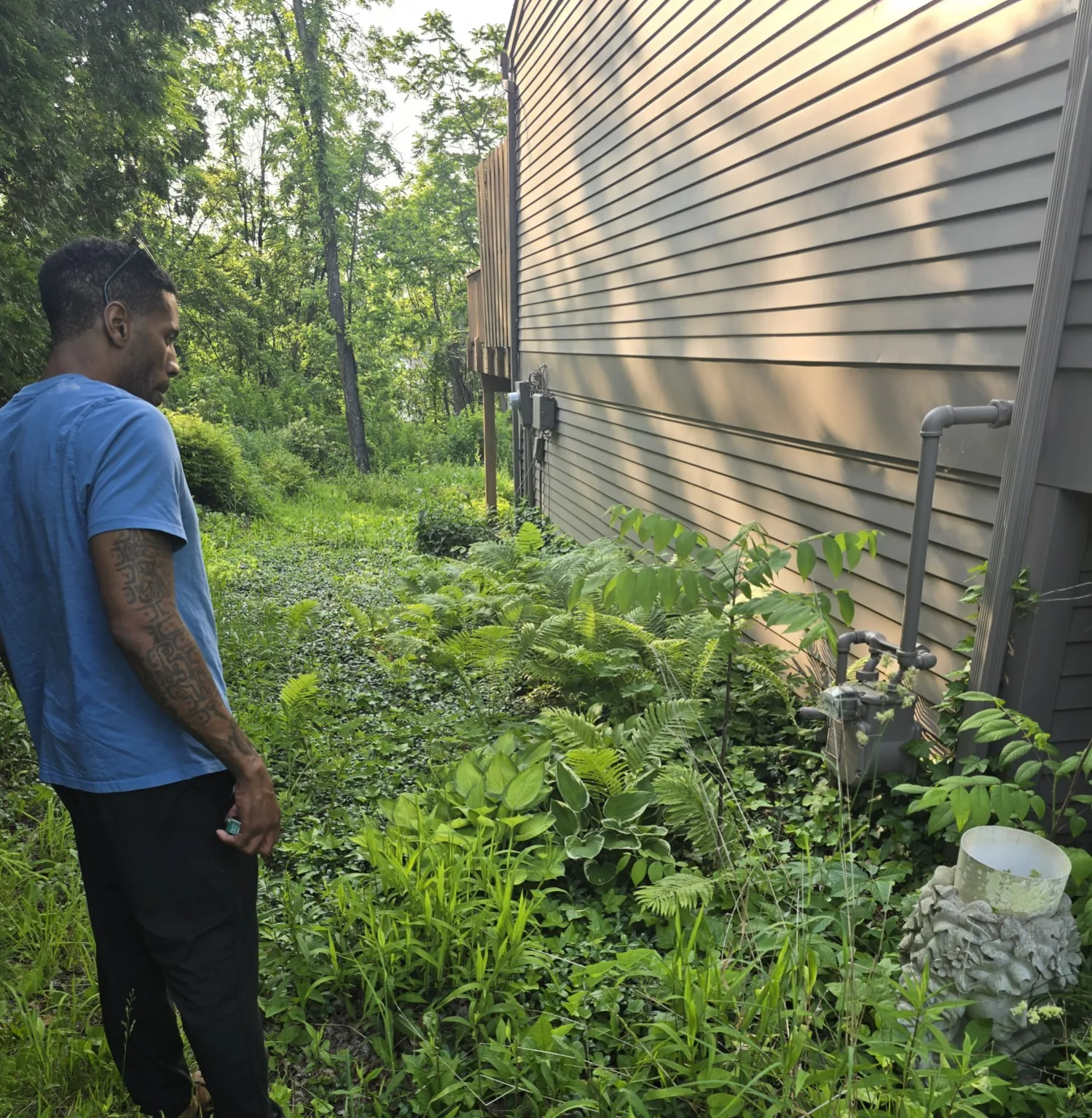 Yard and landscaping project before cleanup