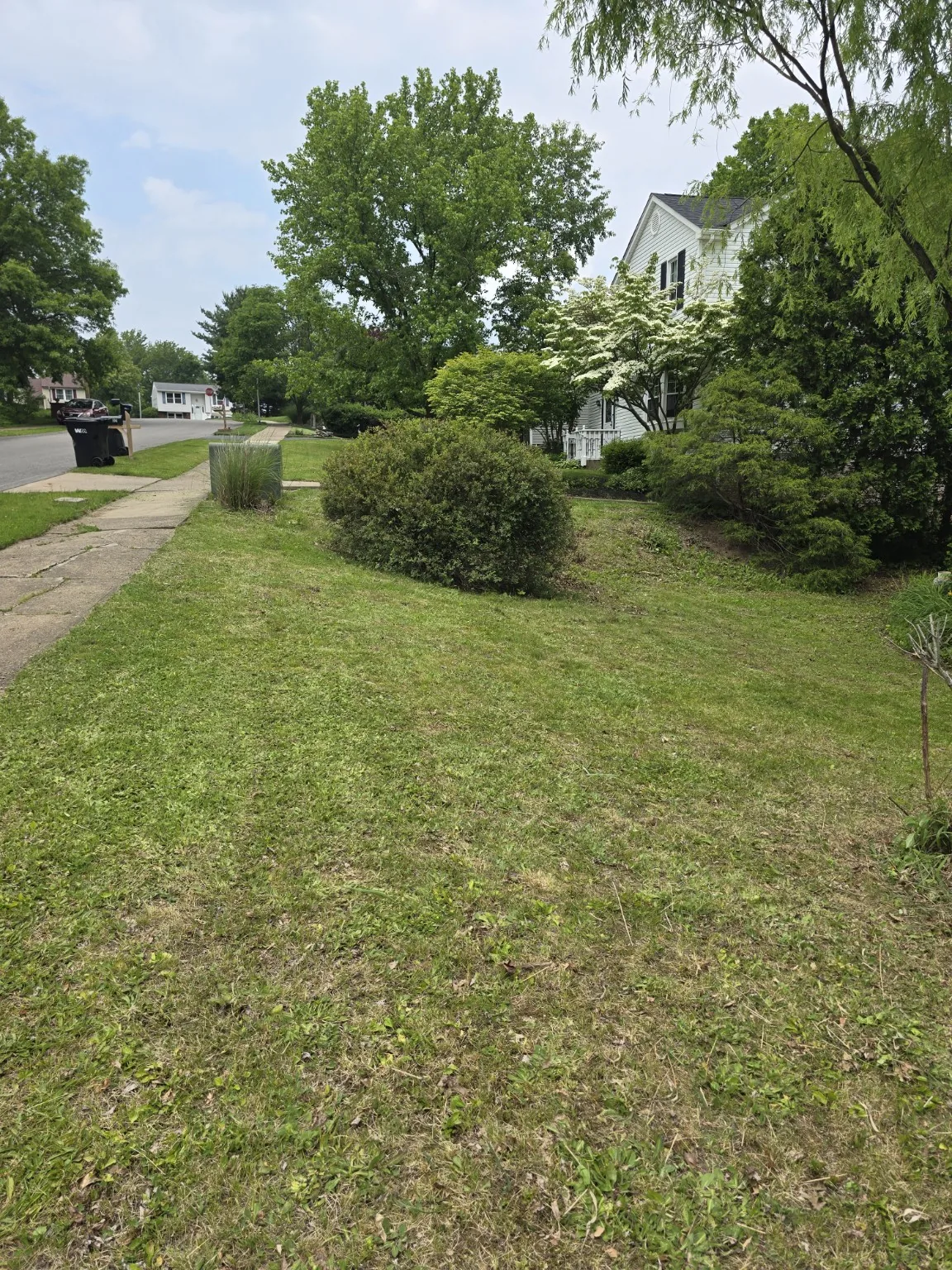Yard and landscaping project after cleanup work