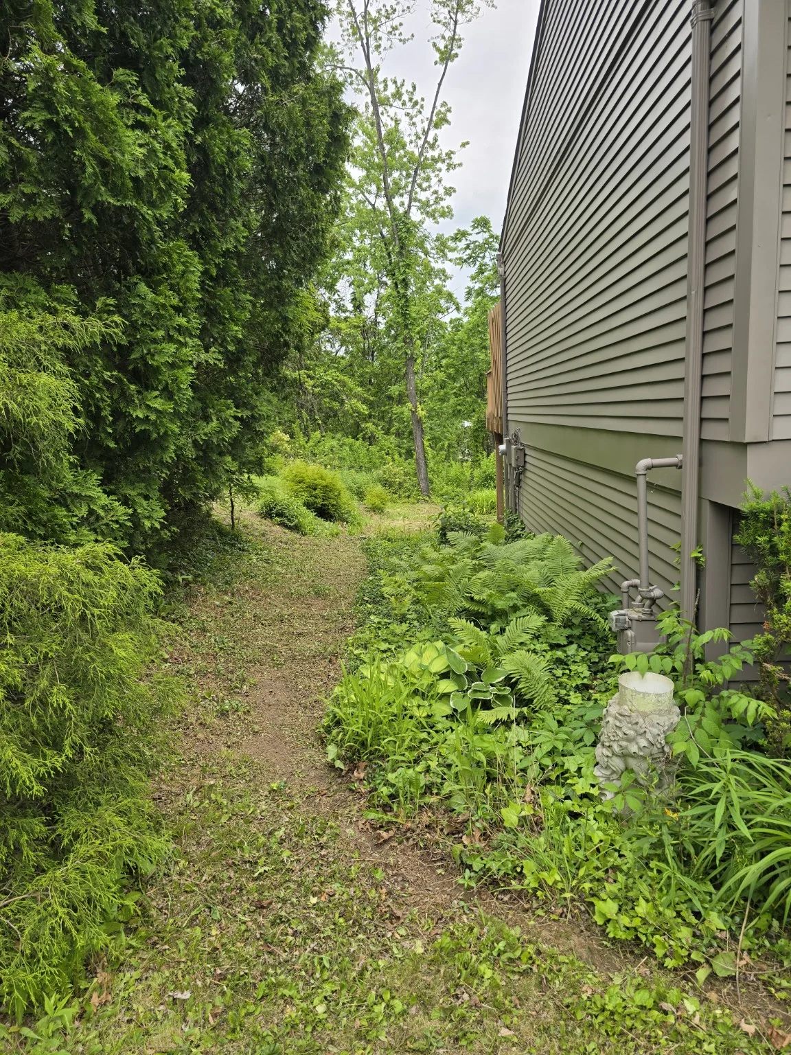 Yard and landscaping project after cleanup work