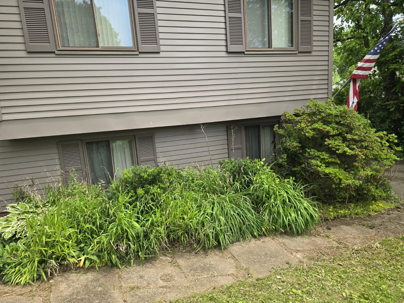 Yard and landscaping project after cleanup work