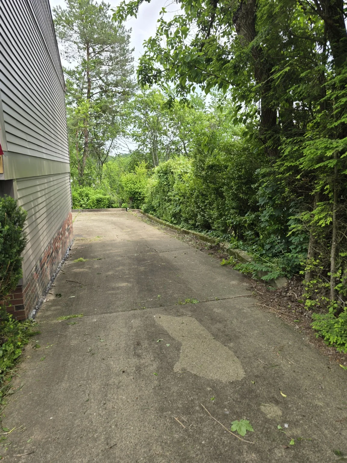Yard and landscaping project after cleanup work