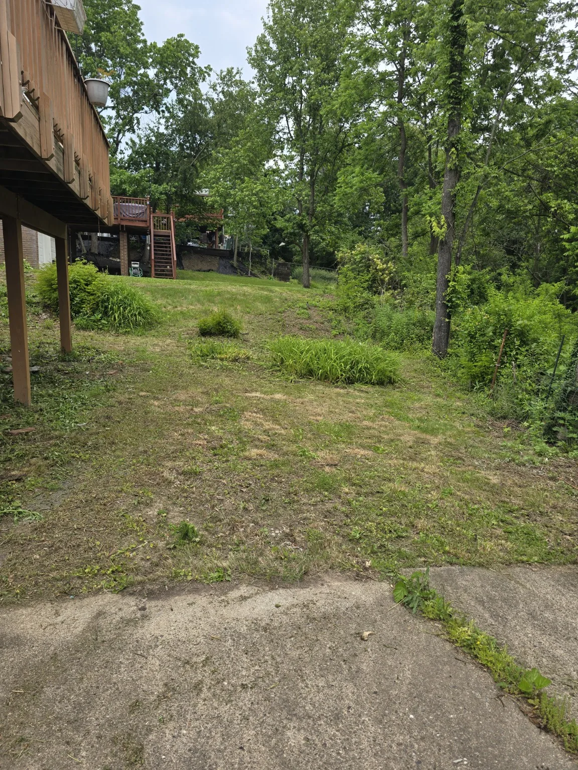 Yard and landscaping project after cleanup work