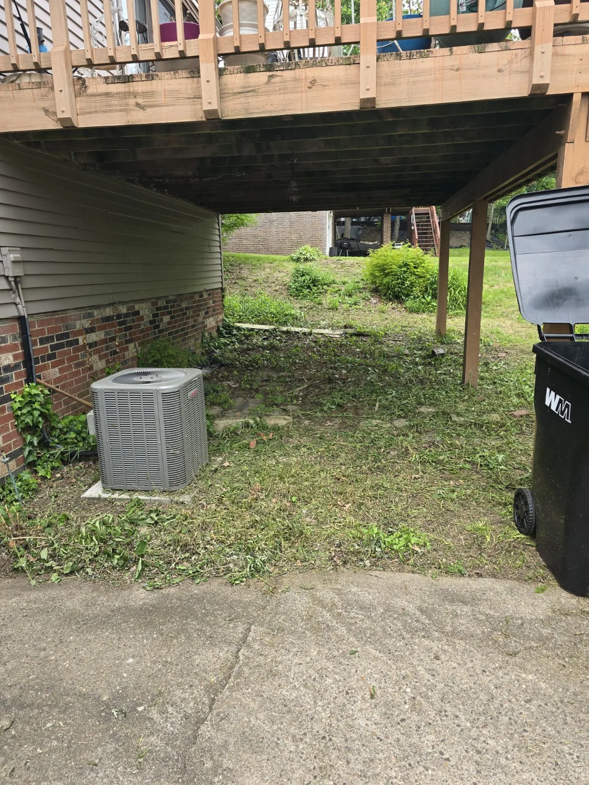 Yard and landscaping project after cleanup work